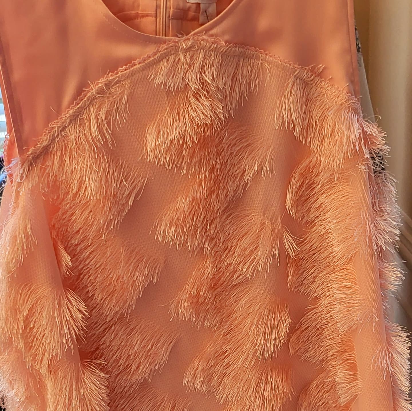 Pink Sleeveless Top with Feathers
